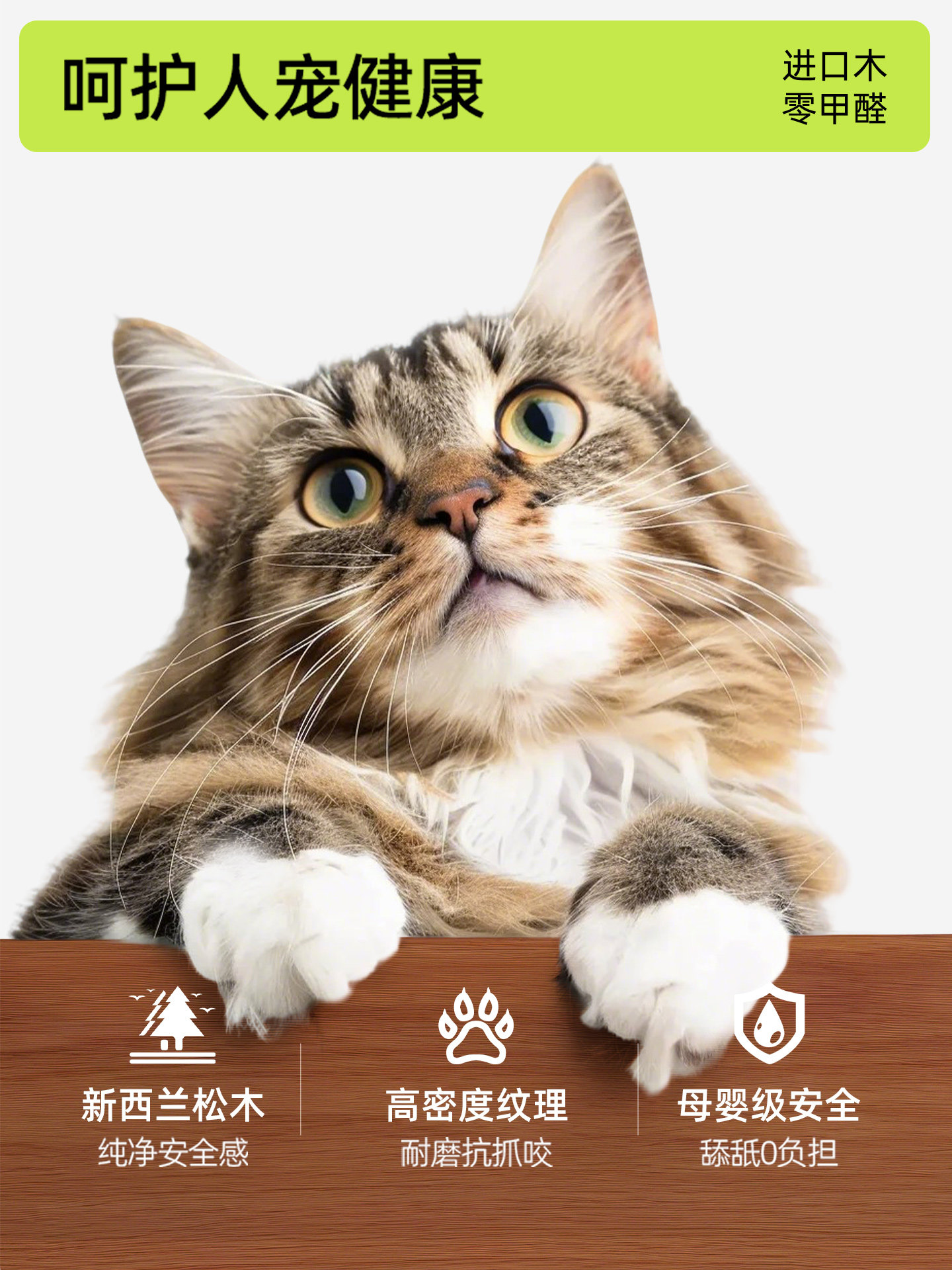 First color medieval style cat - Pet Supplies First review and price