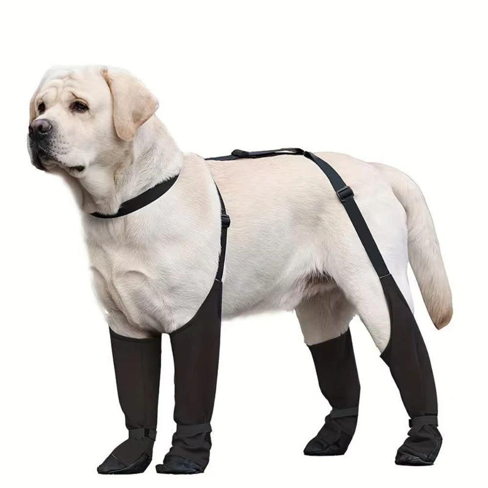 Anti-fall Waterproof Dog Shoes - Dog Booties Paw Protector review and price