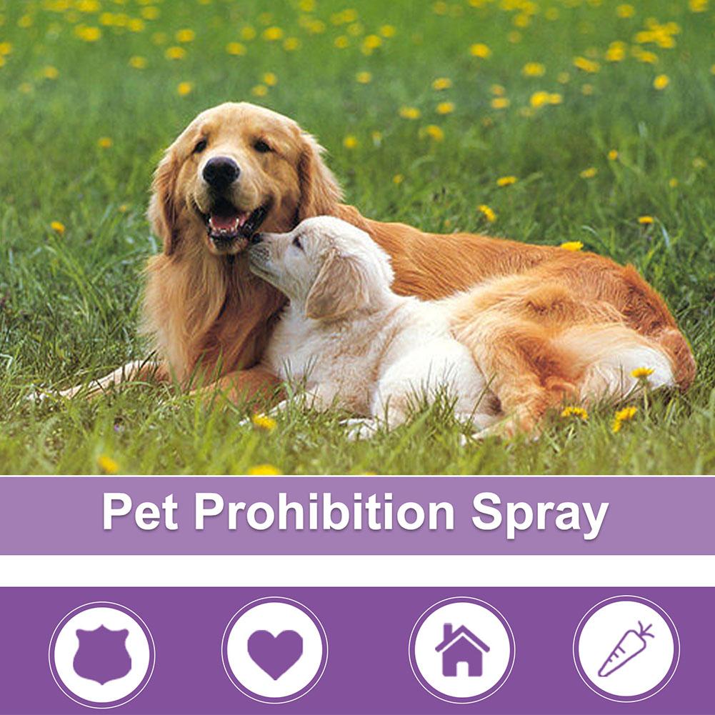 Pet Calming Spray Pet Supplies - Pet Supplies App review and price