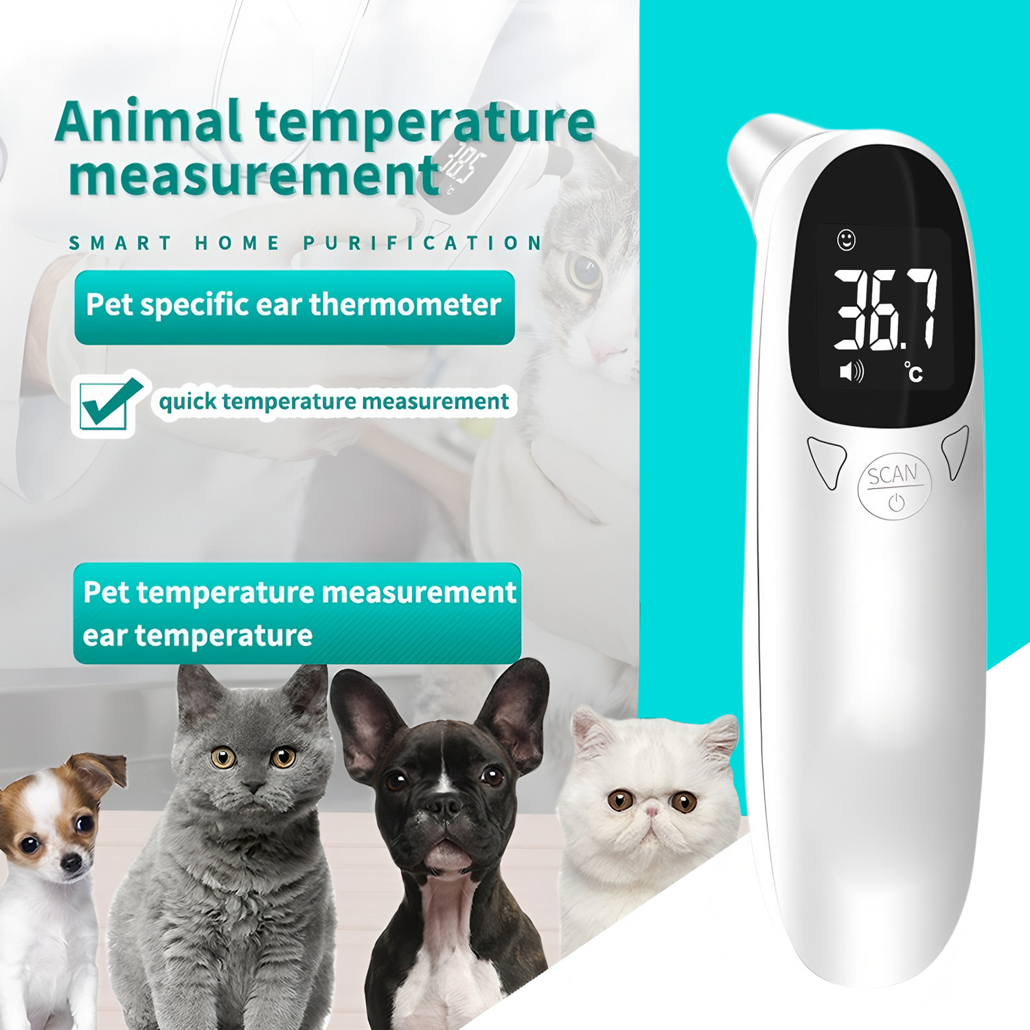 Pet Ear Digital Thermometer No - Pet Supplies App review and price
