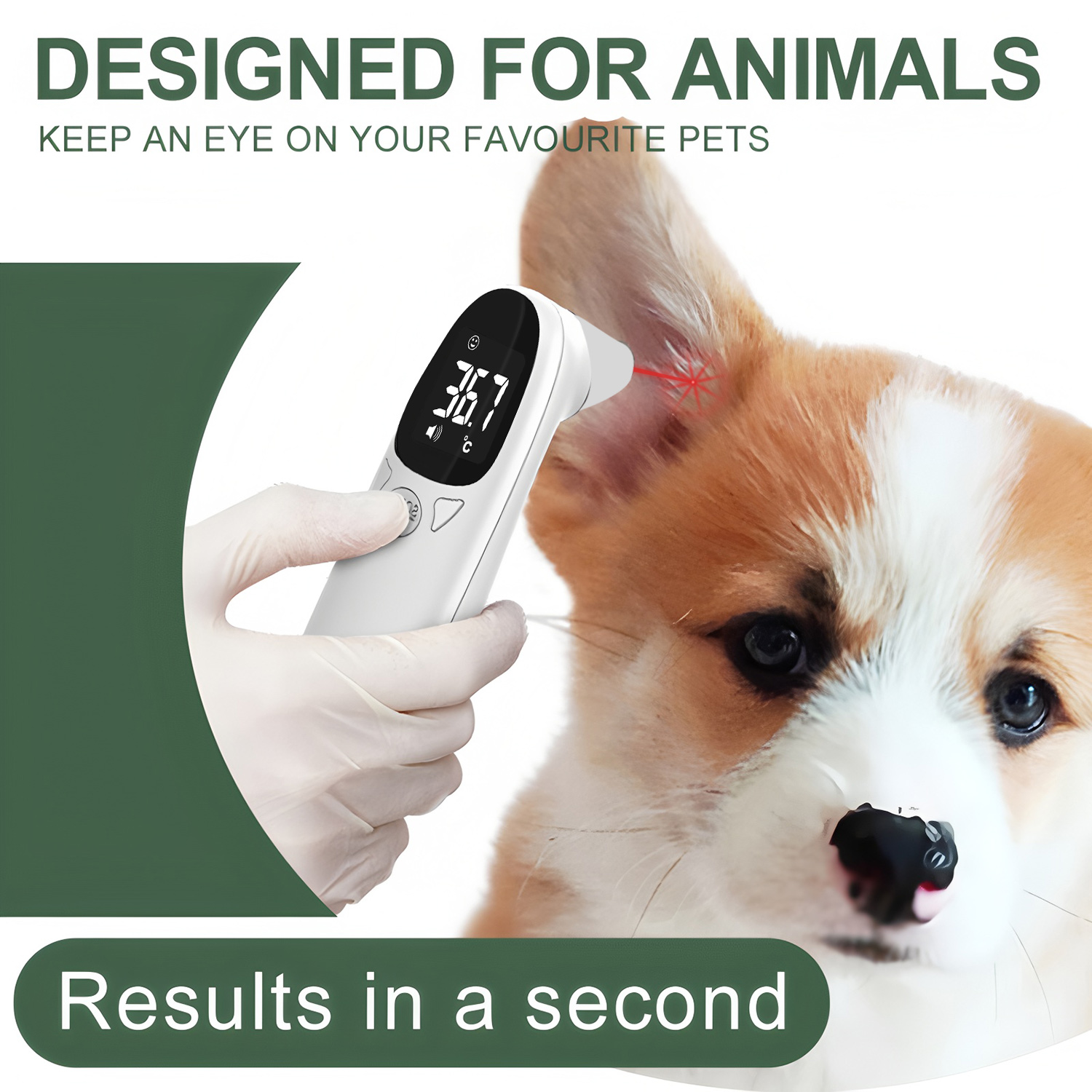 Pet Ear Digital Thermometer No - Pet Supplies App review and price