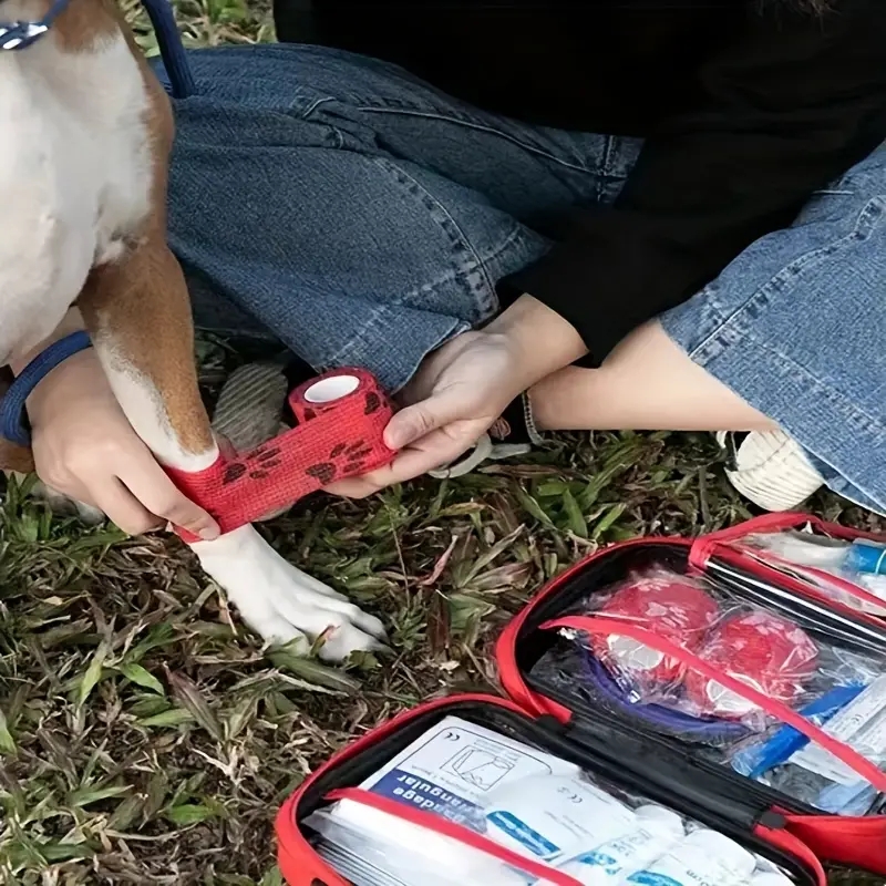 Compact pet First Aid kit for  - Pet Supplies First review and price