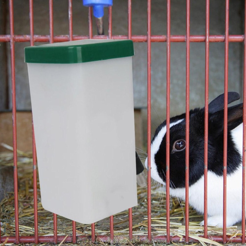 Pet Drinker Water Bottle Dispe - Pet Supplies App review and price