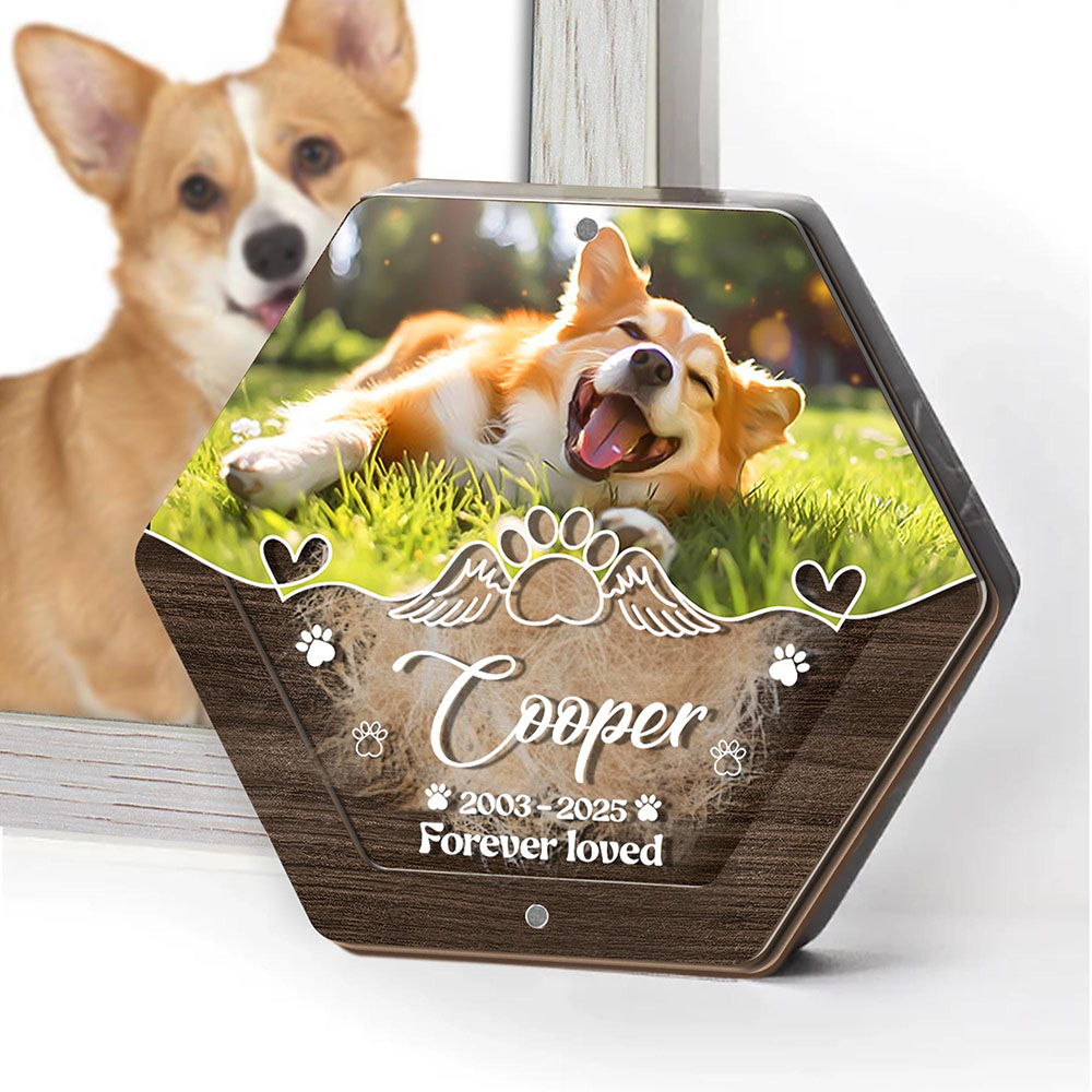 Personalized Name Wooden Carvi - Pet Supplies App review and price