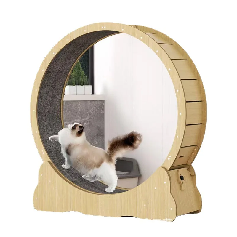 Cat fitness wheel indoor toy c - Interactive Cat Toy review and price