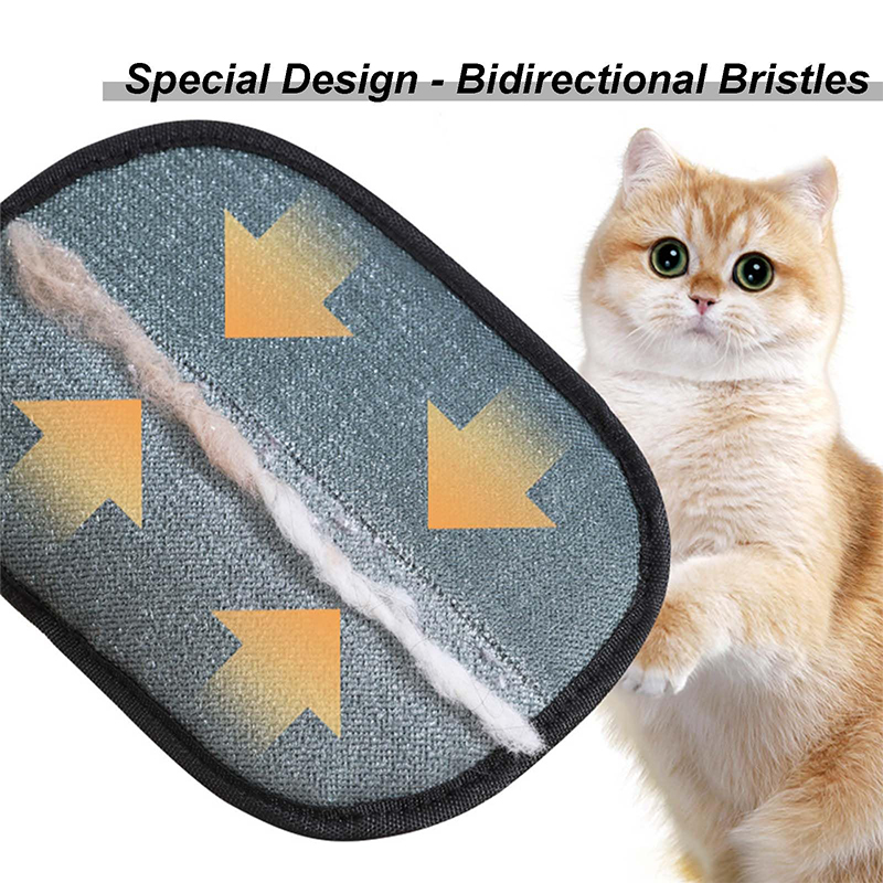 New Electrostatic Pet Grooming - Pet Supplies App review and price