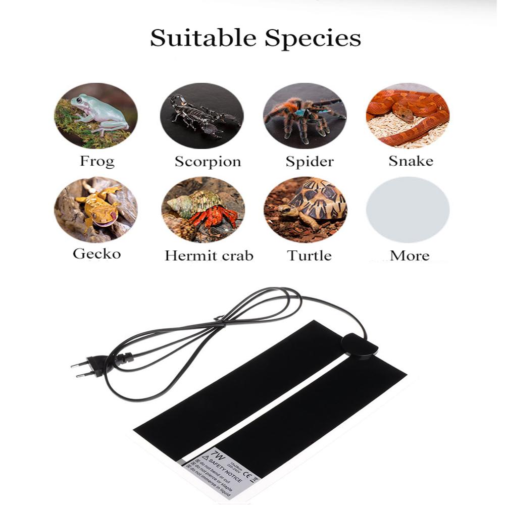 AC110V~240V Reptiles Incubator - Reptile Heating Mat review and price