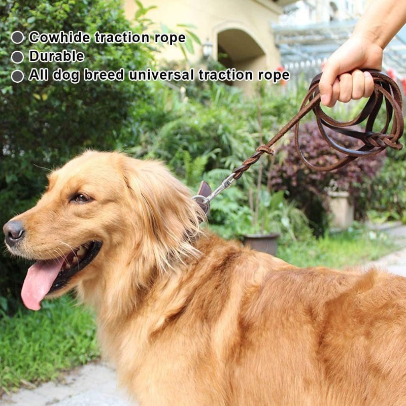 First layer cowhide leash Germ - Pet Supplies First review and price