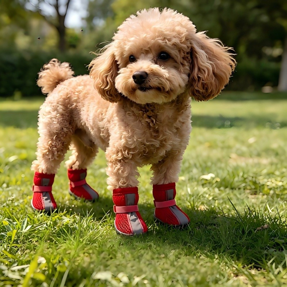 4PCS/SET Durable Non-Slip Dog  - Dog Booties Paw Protector review and price