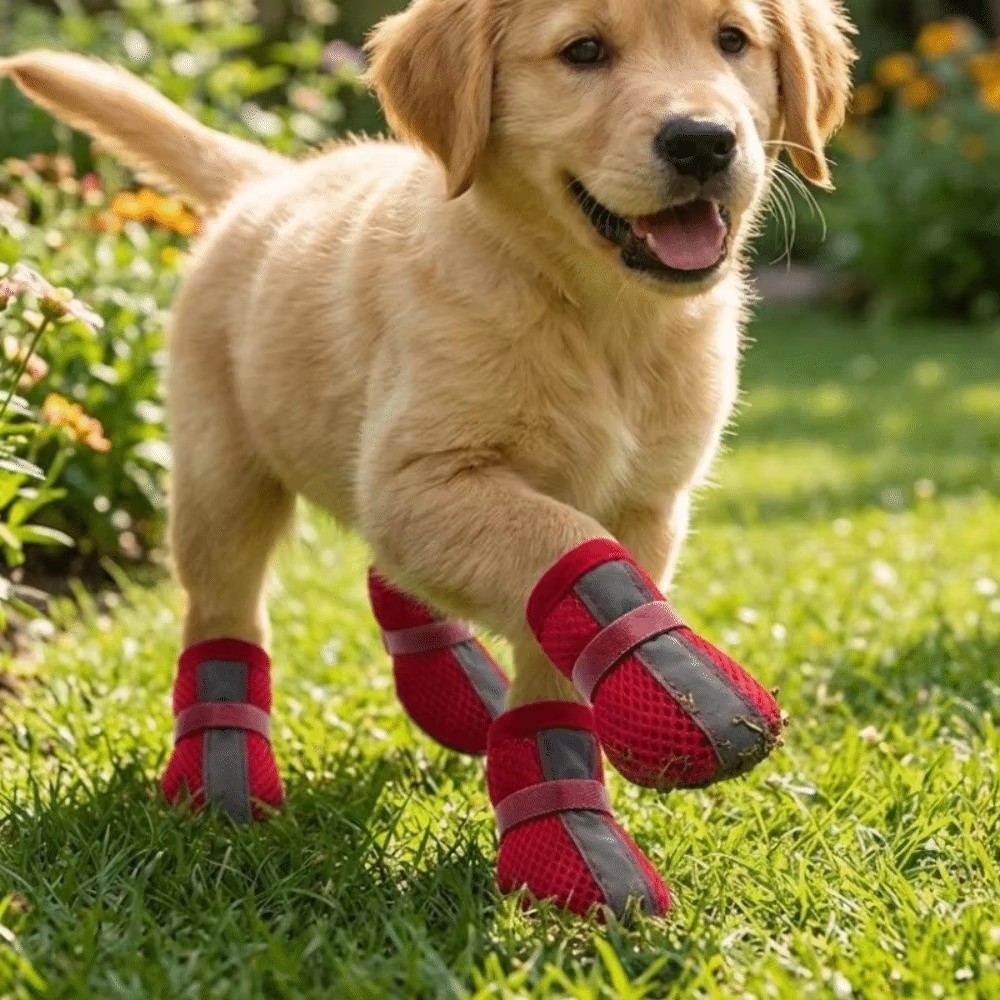 4PCS/SET Durable Non-Slip Dog  - Dog Booties Paw Protector review and price