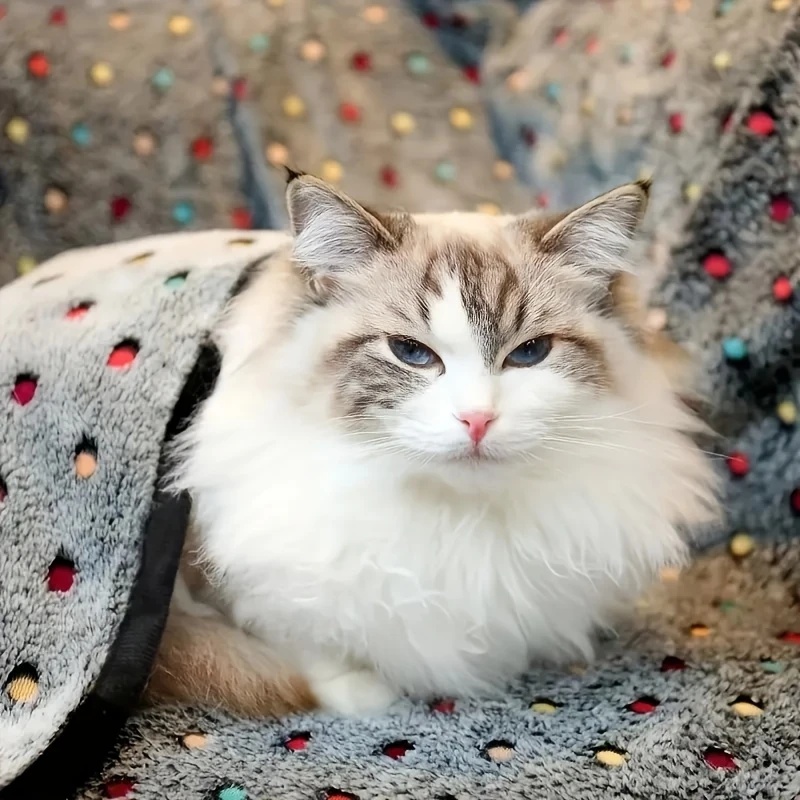 3PCS Soft Fluffy Pet Blanket C - Pet Supplies App review and price