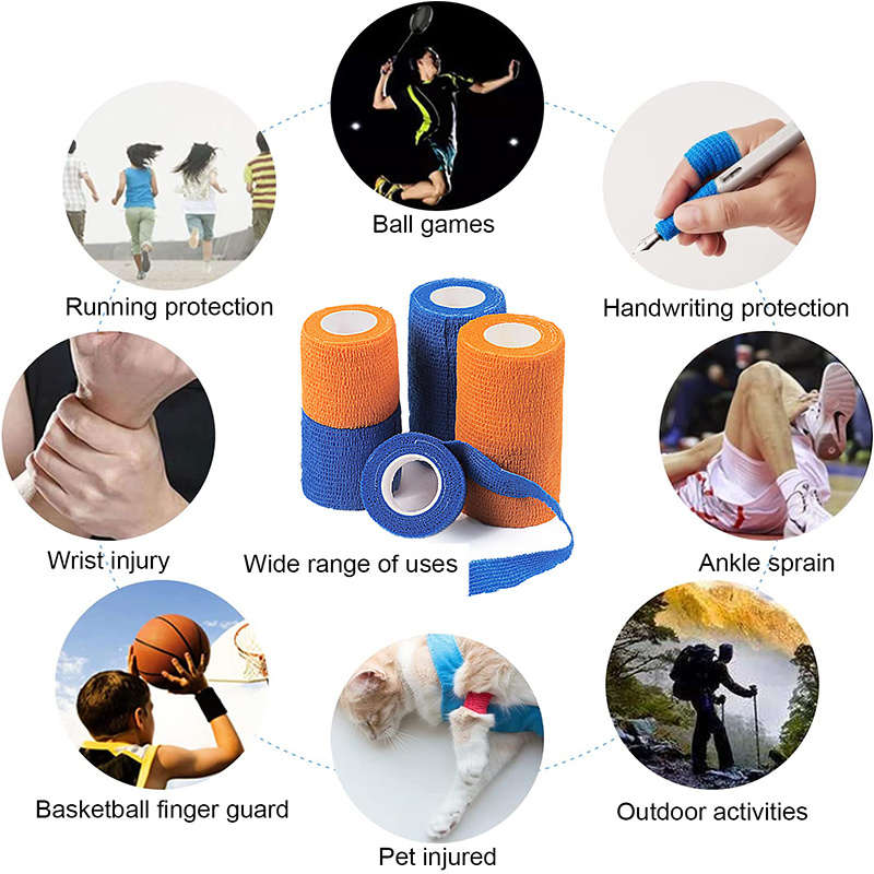 Pexmen 6Colors Self Adhesive B - Pet Supplies First review and price